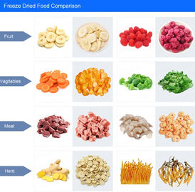 Fruit Vacuum Magnetron Droogmachine